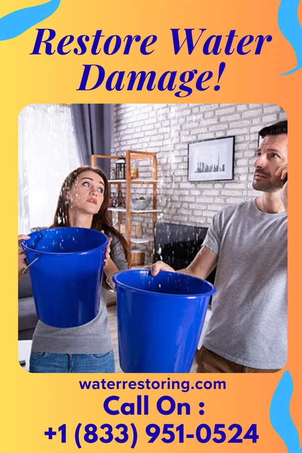 water restoration Zenith Damage Recovery Experts Commercial Point
