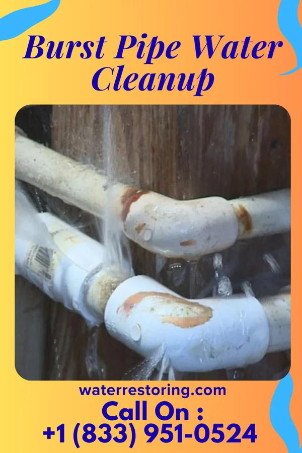 Burst Pipe Water Cleanup in Commercial Point, OH