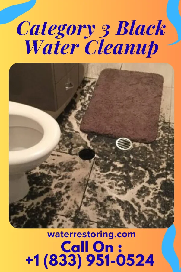 Category 3 Black Water Cleanup in Commercial Point, OH