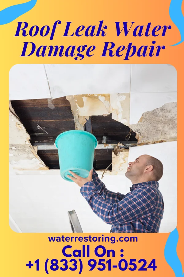 Roof Leak Water Damage Repair in Commercial Point, OH