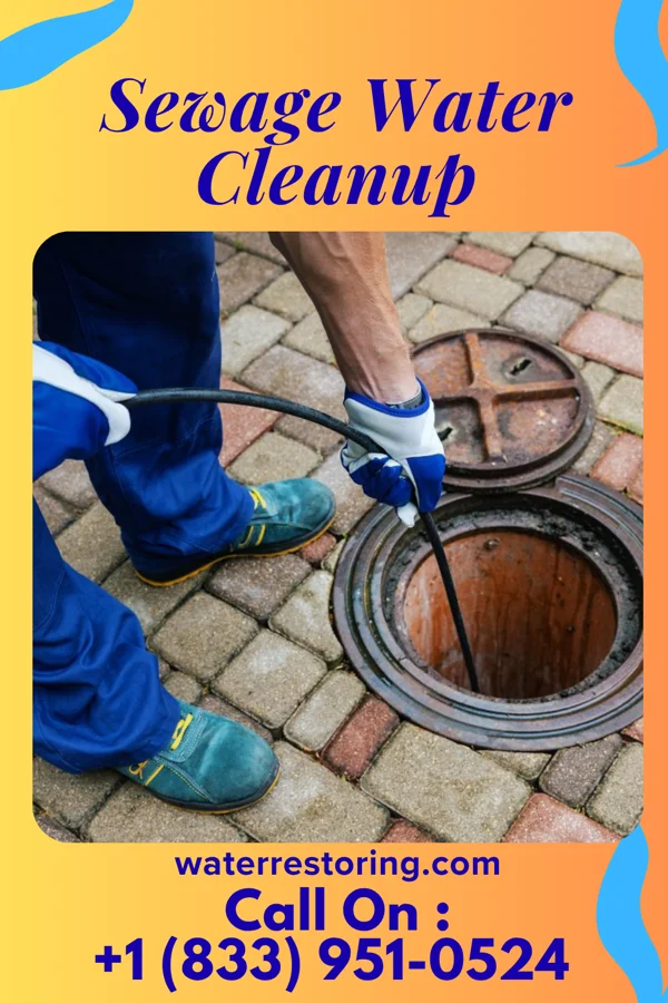Sewage Water Cleanup in Commercial Point, OH